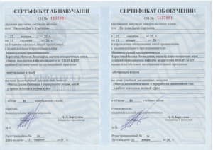 Документ об образовании: ДПДГ в работе психолога, скан 2 из 3