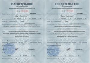 Документ об образовании: ДПДГ в работе психолога, скан 3 из 3