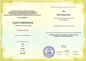 Документ об образовании: Доп образование "Семейные кризисы" НИИДПО (2026г), скан 1 из 1