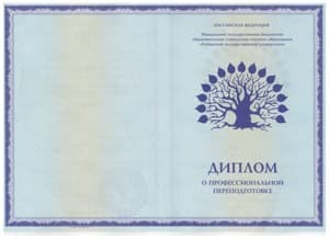 Документ об образовании: Кубанский государственный университет, Институт переподготовки и повышения квалификации специалистов, АНО «НИИДПО», скан 2 из 4