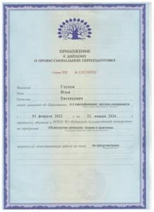 Документ об образовании: Кубанский государственный университет, Институт переподготовки и повышения квалификации специалистов, АНО «НИИДПО», скан 3 из 4