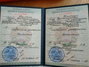 Документ об образовании: Бакалавриат, магистратура по психологии, ГГУ им. Ф. скорины, скан 1 из 2