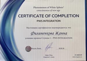 Документ об образовании: Интегратор PWS (1 ступень), скан 1 из 1