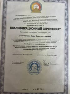 Документ об образовании: Добровольная сертификация, скан 1 из 1