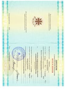 Документ об образовании: Клиническая психология/Институт специальной педагогики и психологии, скан 1 из 1
