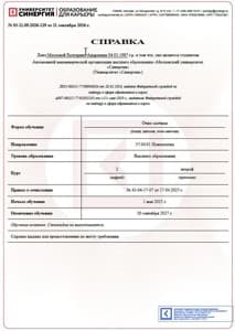 Документ об образовании: Синергия, скан 1 из 1