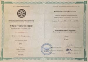 Документ об образовании: Проблемы человека и их решение. Консультирование с помощью факт-карт, скан 1 из 1