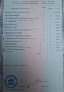 Документ об образовании: Базовый курс/ИАП, скан 3 из 3