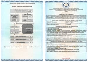 Документ об образовании: Новосибирский Государственный Педагогический Университет, скан 5 из 5