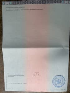 Документ об образовании: •	Федеральное государственное бюджетное образовательное учреждение высшего образования «Тольяттинский государственный Университет»., скан 6 из 8