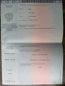 Документ об образовании: •	Федеральное государственное бюджетное образовательное учреждение высшего образования «Тольяттинский государственный Университет»., скан 4 из 8