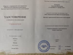 Документ об образовании: Терапия принятия и ответственности, скан 1 из 1