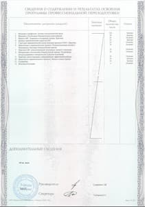 Документ об образовании: Высшая школа Среда Обучения, Диплом, скан 3 из 3