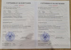 Документ об образовании: ДПДГ в работе психолога, скан 1 из 3