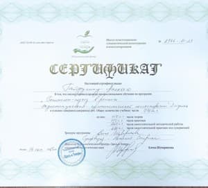 Документ об образовании: Психологический центр "Здесь и Теперь" г. Москва, Введение Гештальт - подход 2 ст, 2024 год, скан 1 из 1