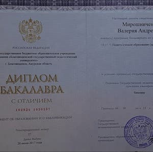 Документ об образовании: Благовещенский Государственный университет. Бакалавр, скан 1 из 1