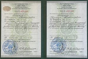 Документ об образовании: БГПУ им. Максима Танка. Специальность Психолог, скан 1 из 1